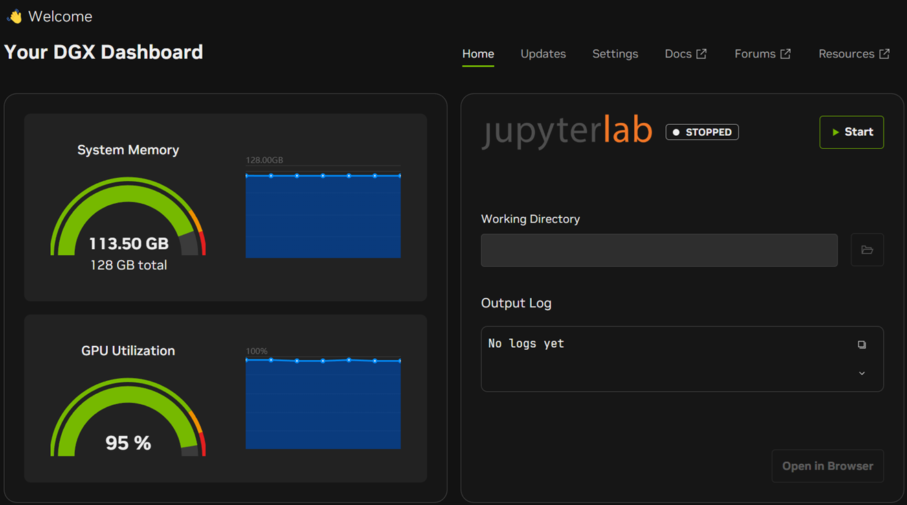Spark 1 DGX Dashboard showing 113.50 GB RAM used, 95% GPU Utilization