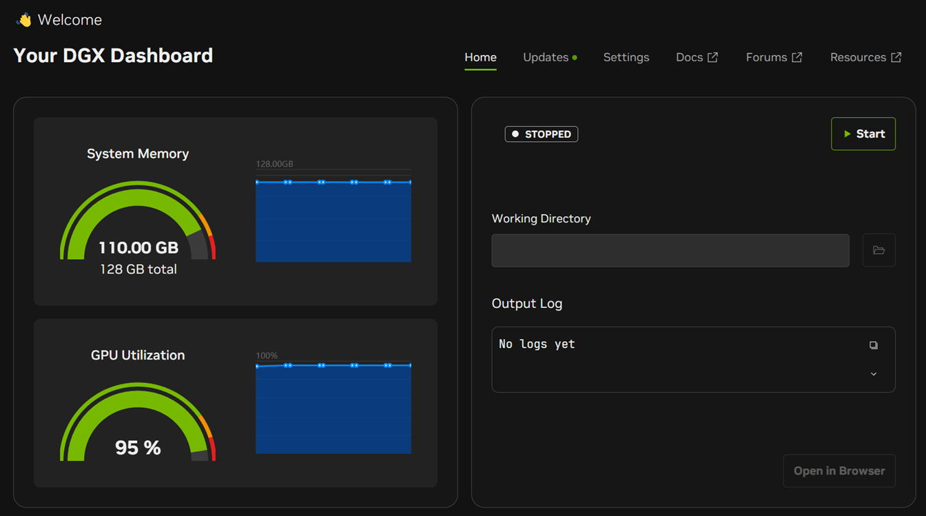 Spark 2 DGX Dashboard showing 110.00 GB RAM used, 95% GPU Utilization